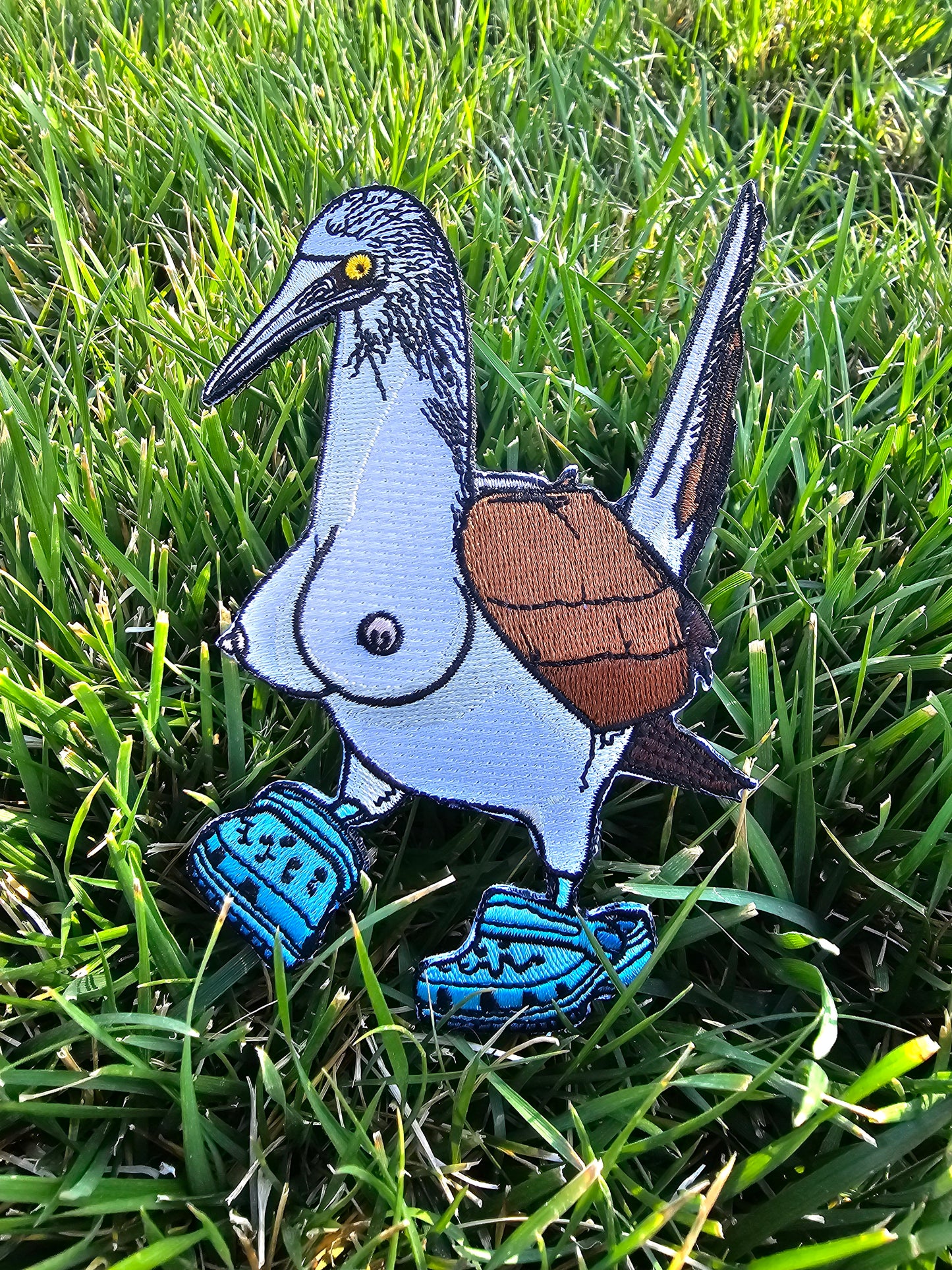 Blue-Footed Booby Patch