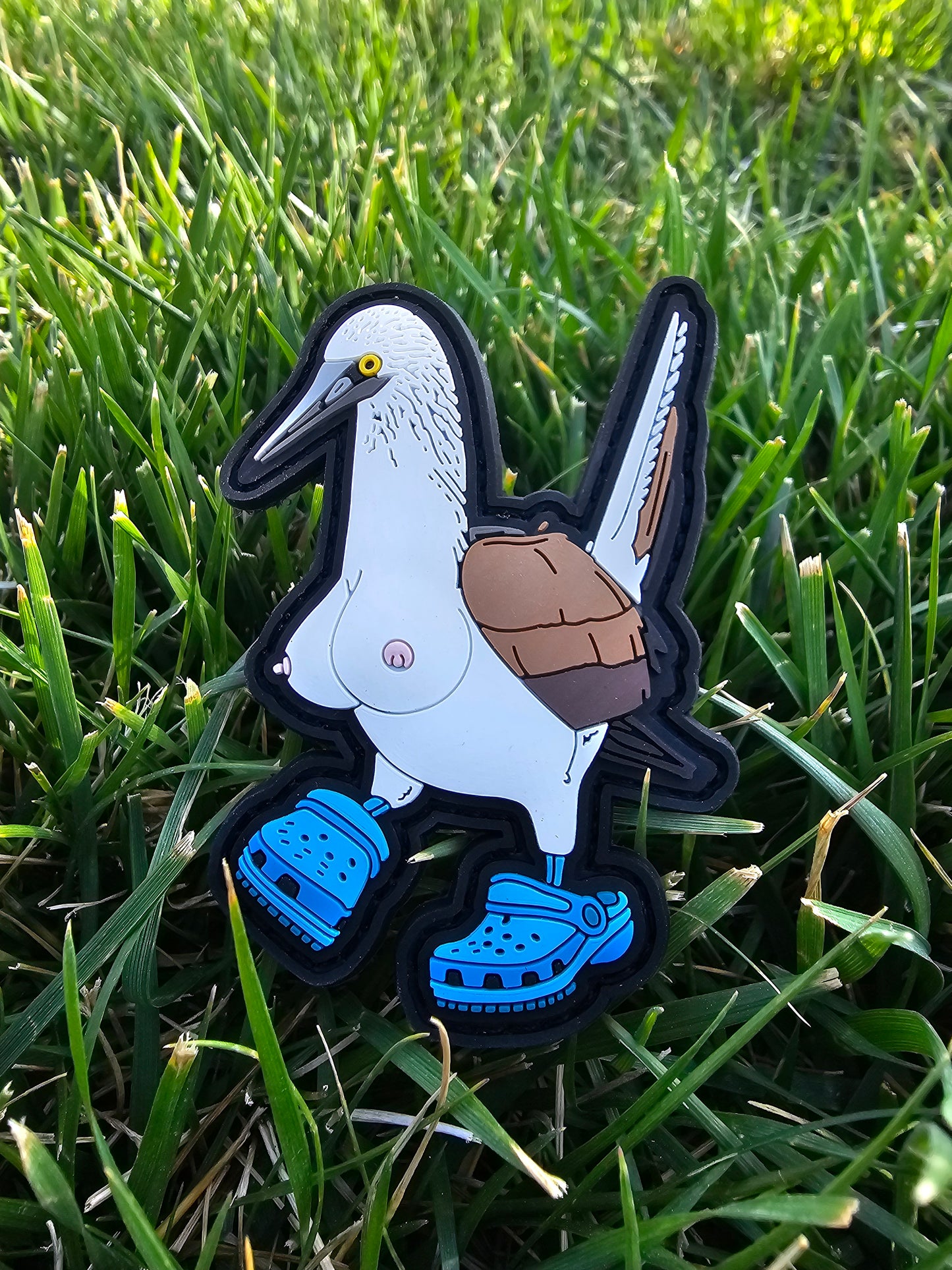 Blue-Footed Booby Patch
